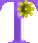 T.gif