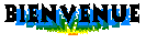 bienvenue.gif