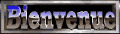 bienvenue10.gif