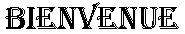 bienvenue11.gif