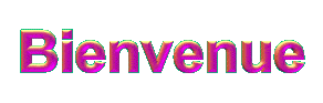 bienvenue12.gif