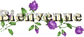 bienvenue17.gif
