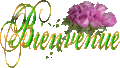 bienvenue18.gif