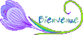 bienvenue21.gif