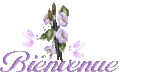 bienvenue23.gif
