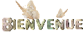 bienvenue25.gif