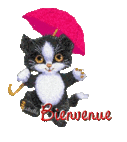 bienvenue35.gif