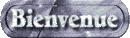 bienvenue7.gif